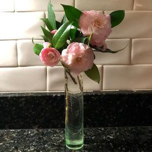 Meet your Posher, Laurie